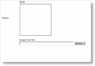 Default picture field for new user with a Browse button next to the Image From File field